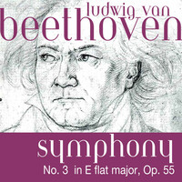 Thumbnail for the The Fine Classical Orchestra - Ludwig van Beethoven: Symphony No. 3 in E flat major, Op. 55 „Eroica“ link, provided by host site