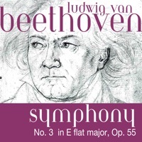 Thumbnail for the The Fine Classical Orchestra - Ludwig van Beethoven: Symphony No. 3 in E flat major, Op. 55 „Eroica“ link, provided by host site