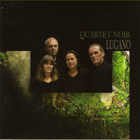 Thumbnail for the Urs Leimgruber - Lugano - Part III link, provided by host site