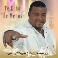 Image of Luis Miguel Del Amargue linking to their artist page due to link from them being at the top of the main table on this page