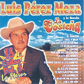 Thumbnail for the Banda La Costeña - Luis Pérez Meza Y La Banda La Costeña - 15 Éxitos Vol. 2 - Lo Mejor link, provided by host site