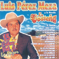 Thumbnail for the Luis Pérez Meza - Luis Pérez Meza Y La Banda La Costeña - 15 Éxitos Vol. 2 - Lo Mejor link, provided by host site