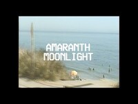 Thumbnail for the Old Sea Brigade - Amaranth Moonlight link, provided by host site