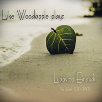 Thumbnail for the Luke Woodapple - Luke Woodapple Plays Ludovico Einaudi (The Best of, Pt.3) link, provided by host site