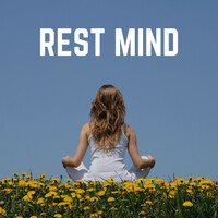 Thumbnail for the Meditation Music - Luminosity link, provided by host site
