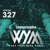 Thumbnail for the Lee Coulson - Luminosity (Wymr327) [Mind of One Remix] link, provided by host site