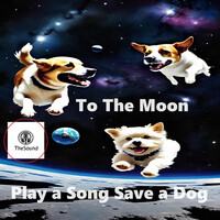 Thumbnail for the The Sound - Lunar link, provided by host site