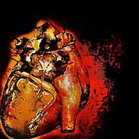 Thumbnail for the Jakewolf - Lungs And Lions link, provided by host site