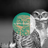 Thumbnail for the Texture - Lush link, provided by host site