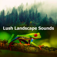 Thumbnail for the Deep Forest - Lush Landscape Sounds link, provided by host site