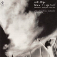 Image of Felix Weingartner linking to their artist page due to link from them being at the top of the main table on this page