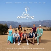 Thumbnail for the Adrian Stern - Lüüt so wie mer (Aus "Sing Meinen Song, Vol. 2") link, provided by host site