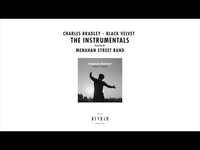 Thumbnail for the Charles Bradley - Luv Jones (Instrumental) link, provided by host site