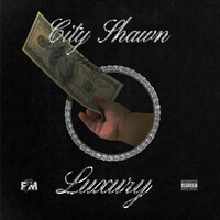 Thumbnail for the City Shawn - LUXURY link, provided by host site