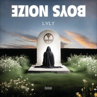 Thumbnail for the Boys Noize - LVLY link, provided by host site