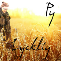 Image of Py Bäckman linking to their artist page due to link from them being at the top of the main table on this page