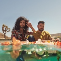 Thumbnail for the Dan + Shay - Lying link, provided by host site