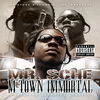 Thumbnail for the Mr. Sche - M-Town Immortal link, provided by host site
