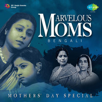 Thumbnail for the Ajoy Chakrabarty - Ma Go Tomar Dake Debo Sara link, provided by host site