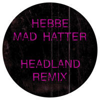 Thumbnail for the Hebbe - Mad Hatter (Headland Remix) link, provided by host site