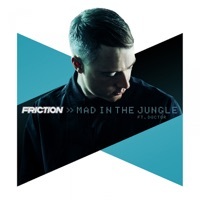 Thumbnail for the Friction - Mad in the Jungle link, provided by host site