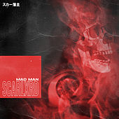 Thumbnail for the Scarlxrd - Mad Man link, provided by host site