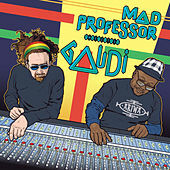 Thumbnail for the Mad Professor - Mad Professor Meets Gaudi link, provided by host site