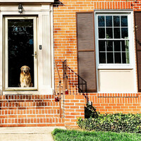 Thumbnail for the Ima - maddix (2yrslr) link, provided by host site