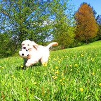 Thumbnail for the Ima - Maddix link, provided by host site