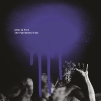 Thumbnail for the Psychedelic Furs - Made of Rain link, provided by host site