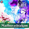 Thumbnail for the Rajalakshmee Sanjay - Madhurashtakam link, provided by host site