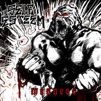 Thumbnail for the Self Esteem - Madness link, provided by host site