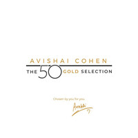 Thumbnail for the Avishai Cohen - Madrid (Commented Version) link, provided by host site
