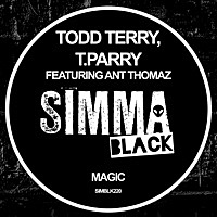 Thumbnail for the Todd Terry - Magic link, provided by host site