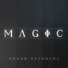 Image of Shaun Reynolds linking to their artist page due to link from them being at the top of the main table on this page