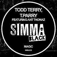 Thumbnail for the Todd Terry - Magic link, provided by host site
