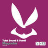Thumbnail for the Total Sound - Magnetar link, provided by host site