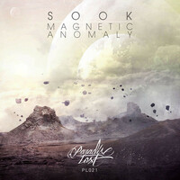 Thumbnail for the Sook - Magnetic Anomaly link, provided by host site