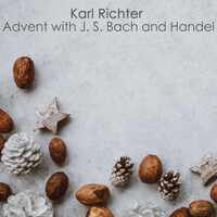 Thumbnail for the Johann Sebastian Bach - Magnificat in D Major, BWV 243: IX. Aria: "Esurientes implevit bonis" (alto) link, provided by host site