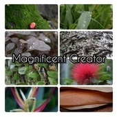 Thumbnail for the Brad Garrett - Magnificent Creator link, provided by host site