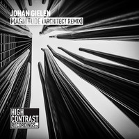 Thumbnail for the Johan Gielen - Magnitude (Architect Remix) link, provided by host site