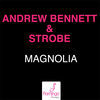 Thumbnail for the Andrew Bennett - Magnolia link, provided by host site
