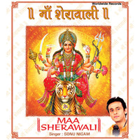 Thumbnail for the Sanjeevani - Maha Vidya Nav Shakti link, provided by host site