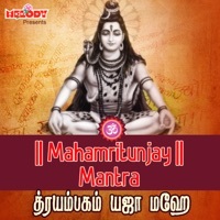 Thumbnail for the Geetha - Mahamritunjay Mantra link, provided by host site