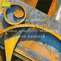 Thumbnail for the Jacek Kaspszyk - Mahler: Symphony No. 1 & Blumine link, provided by host site