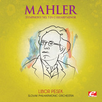 Thumbnail for the Slovak Philharmonic - Mahler: Symphony No. 5 in C-Sharp Minor (Digitally Remastered) link, provided by host site