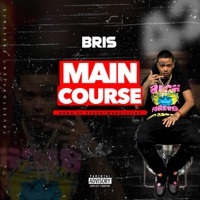 Thumbnail for the Bris - Main Course link, provided by host site