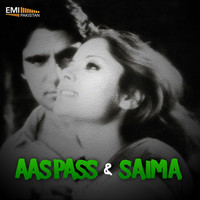 Thumbnail for the Mehdi Hassan - Main Kis Sabaq Ko Parhoon (From "Saima") link, provided by host site