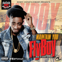 Thumbnail for the Flyboy - Maintain You link, provided by host site