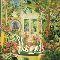Thumbnail for the Flamingods - Majesty link, provided by host site